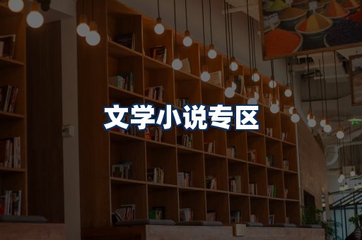 文学小说PDF展示